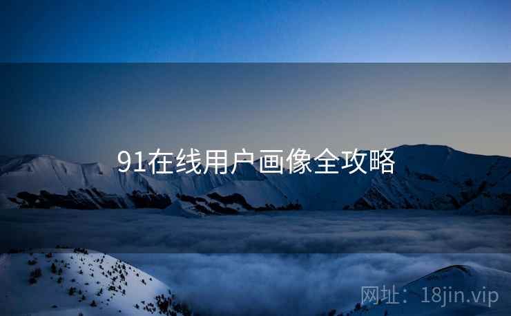 91在线用户画像全攻略