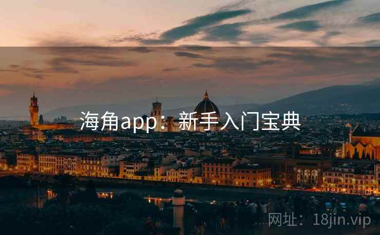 海角app：新手入门宝典