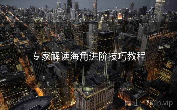 专家解读海角进阶技巧教程