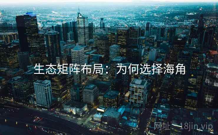生态矩阵布局：为何选择海角