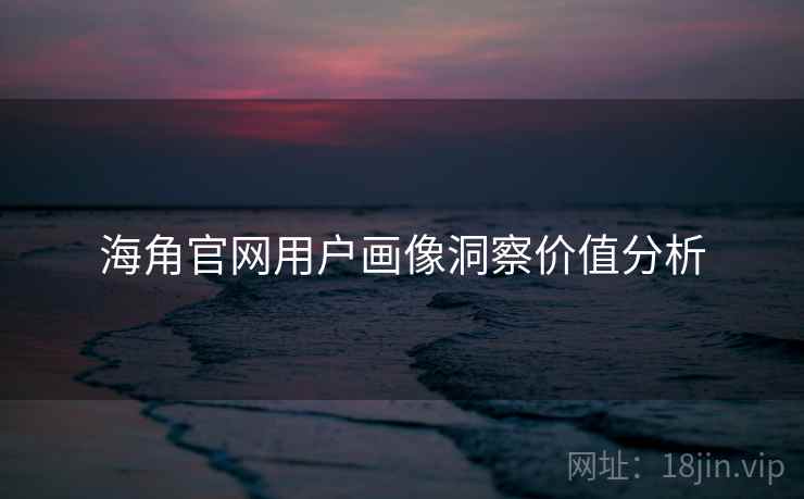 海角官网用户画像洞察价值分析